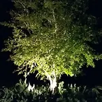 Bed & Breakfast I Tre Ciliegi 3*