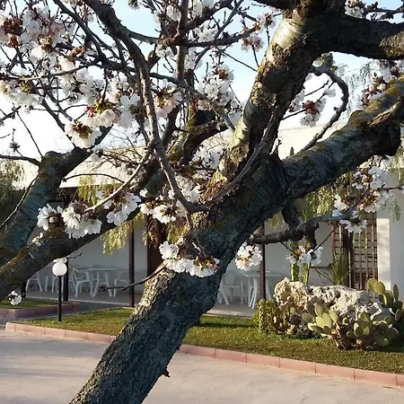 I Tre Ciliegi فندق مبيت وإفطار أوترانتو