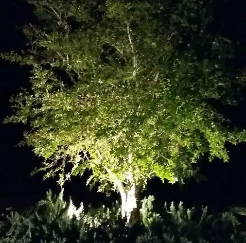 Nocleg ze śniadaniem I Tre Ciliegi 3*